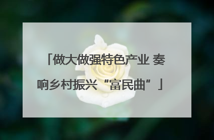 做大做强特色产业 奏响乡村振兴“富民曲”