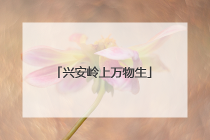 兴安岭上万物生