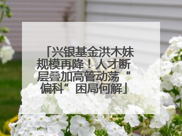 兴银基金洪木妹规模再降！人才断层叠加高管动荡“偏科”困局何解