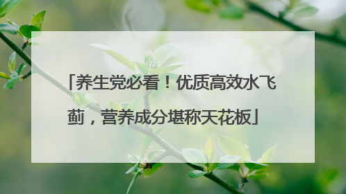养生党必看！优质高效水飞蓟，营养成分堪称天花板