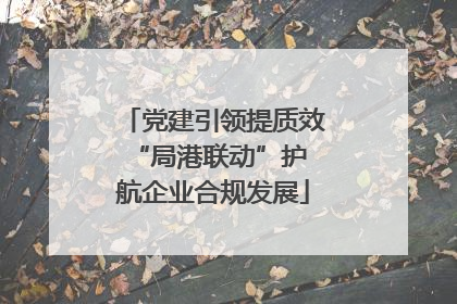 党建引领提质效 “局港联动”护航企业合规发展