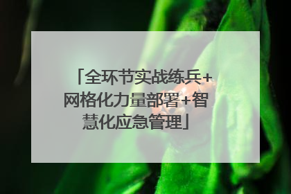 全环节实战练兵+网格化力量部署+智慧化应急管理