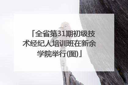 全省第31期初级技术经纪人培训班在新余学院举行(图)