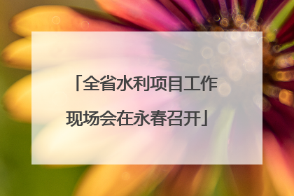 全省水利项目工作现场会在永春召开