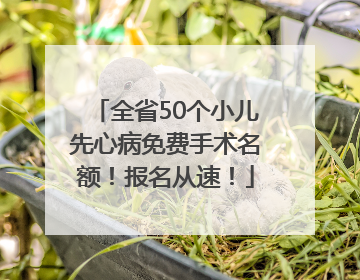 全省50个小儿先心病免费手术名额！报名从速！