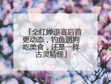 全红婵退赛后首更动态，钓鱼遛狗吃美食，还是一样古灵精怪