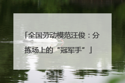 全国劳动模范汪俊：分拣场上的“冠军手”