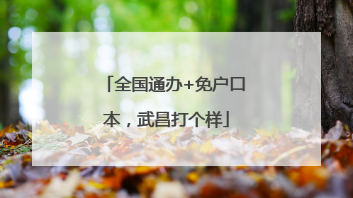 全国通办+免户口本，武昌打个样