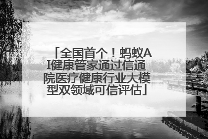 全国首个！蚂蚁AI健康管家通过信通院医疗健康行业大模型双领域可信评估