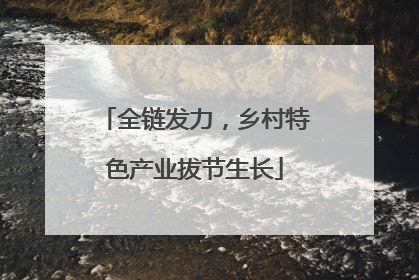 全链发力，乡村特色产业拔节生长