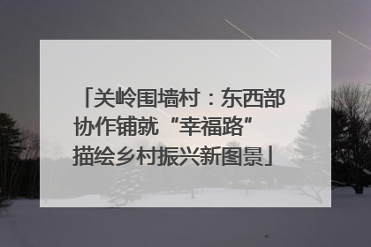 关岭围墙村：东西部协作铺就“幸福路” 描绘乡村振兴新图景
