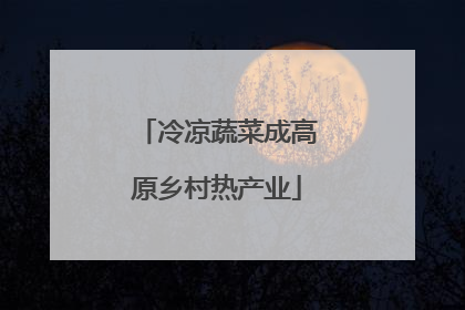 冷凉蔬菜成高原乡村热产业