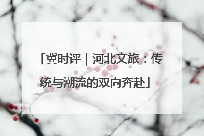 冀时评｜河北文旅：传统与潮流的双向奔赴