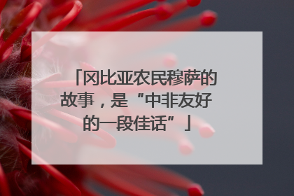 冈比亚农民穆萨的故事，是“中非友好的一段佳话”