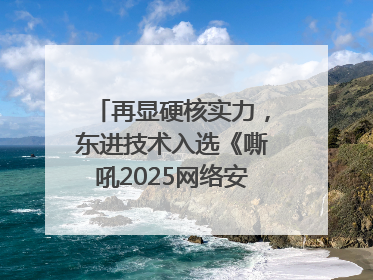 再显硬核实力，东进技术入选《嘶吼2025网络安全产业图谱》