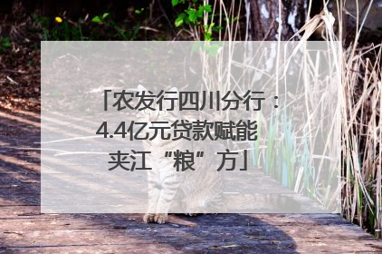 农发行四川分行：4.4亿元贷款赋能夹江“粮”方