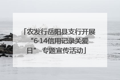 农发行岳阳县支行开展“6·14信用记录关爱日” 专题宣传活动
