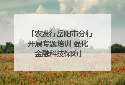 农发行岳阳市分行开展专题培训 强化金融科技保障