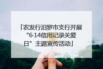 农发行汨罗市支行开展“6·14信用记录关爱日”主题宣传活动