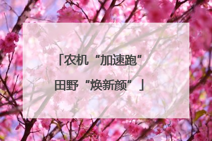农机“加速跑” 田野“焕新颜”