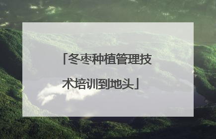冬枣种植管理技术培训到地头