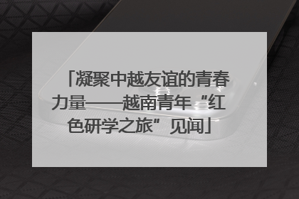 凝聚中越友谊的青春力量——越南青年“红色研学之旅”见闻
