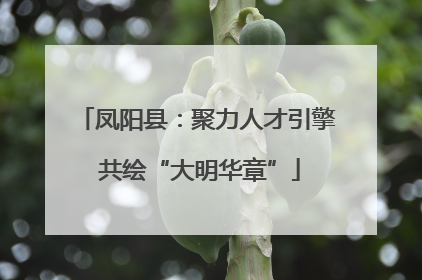 凤阳县：聚力人才引擎 共绘“大明华章”