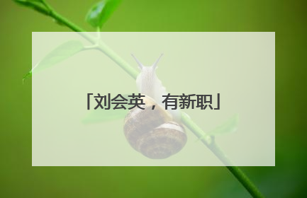 刘会英，有新职
