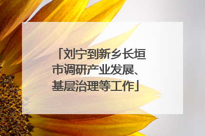 刘宁到新乡长垣市调研产业发展、基层治理等工作
