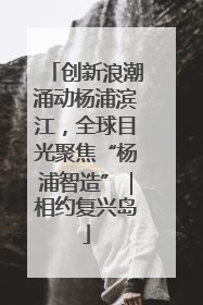 创新浪潮涌动杨浦滨江，全球目光聚焦“杨浦智造”｜相约复兴岛