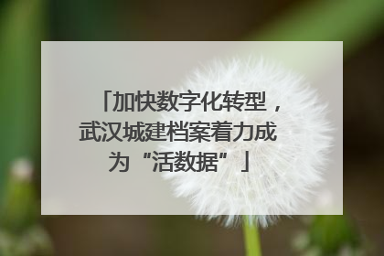加快数字化转型，武汉城建档案着力成为“活数据”