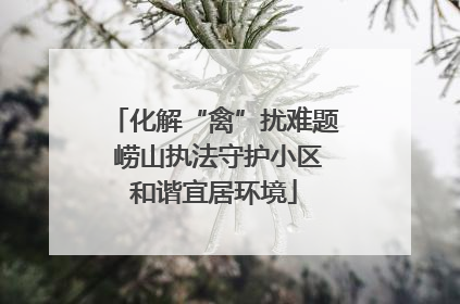 化解“禽”扰难题 崂山执法守护小区和谐宜居环境
