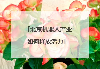 北京机器人产业如何释放活力