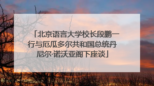 北京语言大学校长段鹏一行与厄瓜多尔共和国总统丹尼尔·诺沃亚阁下座谈