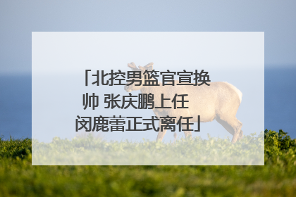 北控男篮官宣换帅 张庆鹏上任 闵鹿蕾正式离任