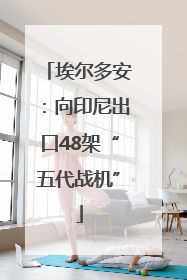 埃尔多安：向印尼出口48架“五代战机”