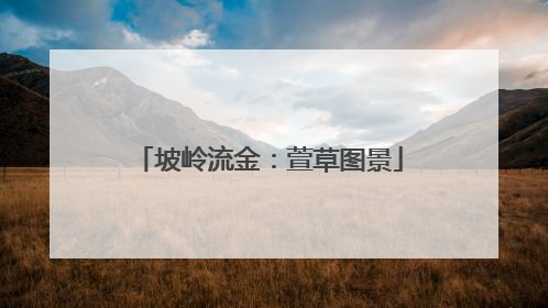 坡岭流金：萱草图景
