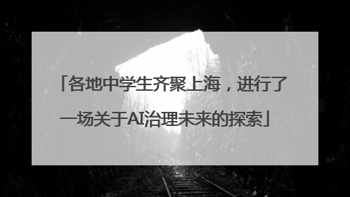 各地中学生齐聚上海，进行了一场关于AI治理未来的探索