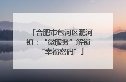 合肥市包河区淝河镇：“微服务”解锁“幸福密码”