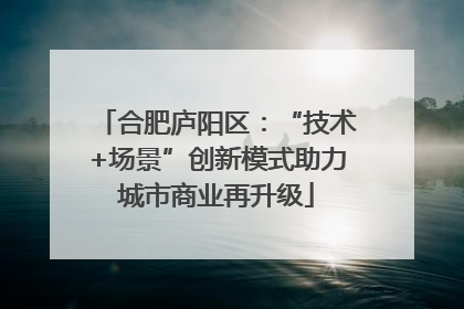 合肥庐阳区：“技术+场景”创新模式助力城市商业再升级