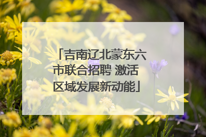 吉南辽北蒙东六市联合招聘 激活区域发展新动能