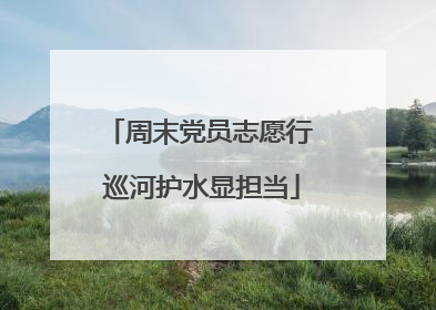 周末党员志愿行 巡河护水显担当