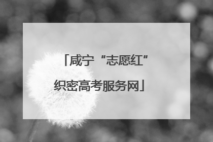 咸宁“志愿红”织密高考服务网
