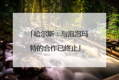 哈尔斯：与泡泡玛特的合作已终止