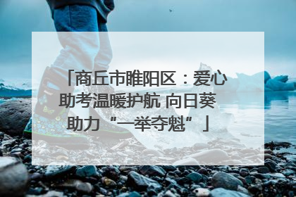 商丘市睢阳区：爱心助考温暖护航 向日葵助力“一举夺魁”