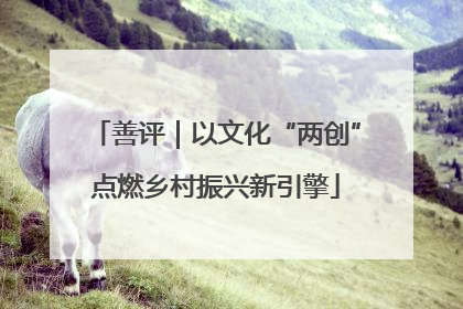 善评｜以文化“两创”点燃乡村振兴新引擎