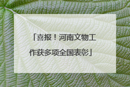 喜报！河南文物工作获多项全国表彰