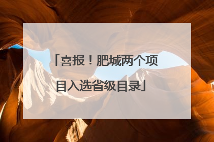喜报！肥城两个项目入选省级目录