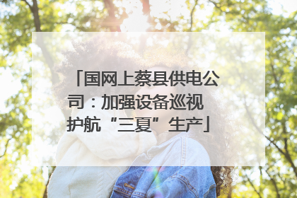 国网上蔡县供电公司：加强设备巡视 护航“三夏”生产