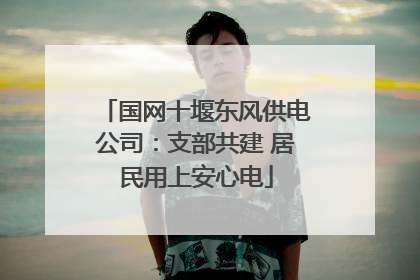 国网十堰东风供电公司：支部共建 居民用上安心电